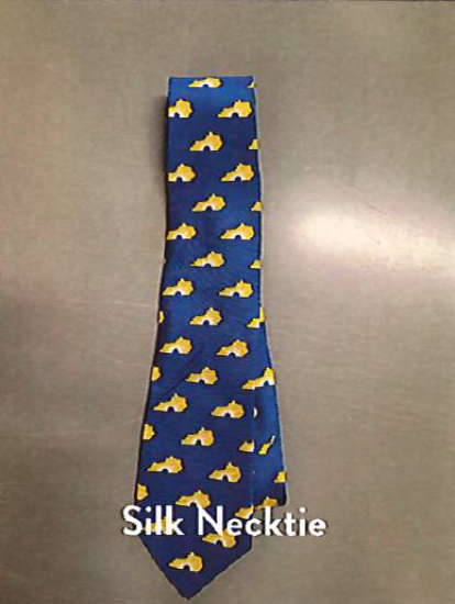 Picture of KCTCS Silk Necktie